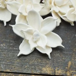 Oh! You're Lovely Jasmine - Set Of 12 - Multiple Sizes Available Sola Wood Flower Sets