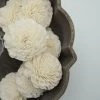 Oh! You're Lovely Marigold - Set Of 12 - Multiple Sizes Available - Sola Wood Flower Sets