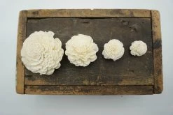 Oh! You're Lovely Marigold - Set Of 12 - Multiple Sizes Available - Sola Wood Flower Sets