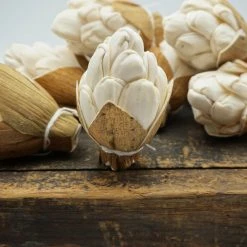 Oh! You're Lovely Sola Wood Flower Sets Sola Pinecones- Sold By The Dozen