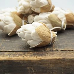 Oh! You're Lovely Sola Wood Flower Sets Sola Pinecones- Sold By The Dozen