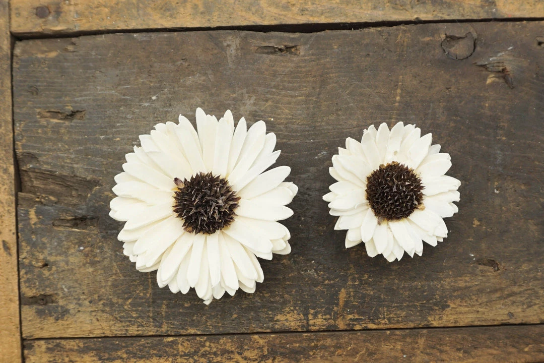 Oh! You're Lovely Sunflower - Set Of 12 - Multiple Sizes Available