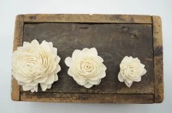 Oh! You're Lovely Sola Wood Flower Sets Waterlily - Set Of 12 - Multiple Sizes Available