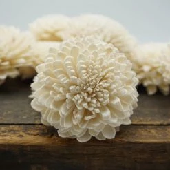 Oh! You're Lovely Zinny - Set Of 12- Multiple Sizes Available - Sola Wood Flower Sets