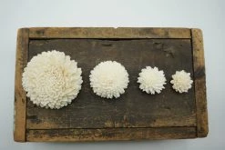 Oh! You're Lovely Zinny - Set Of 12- Multiple Sizes Available - Sola Wood Flower Sets