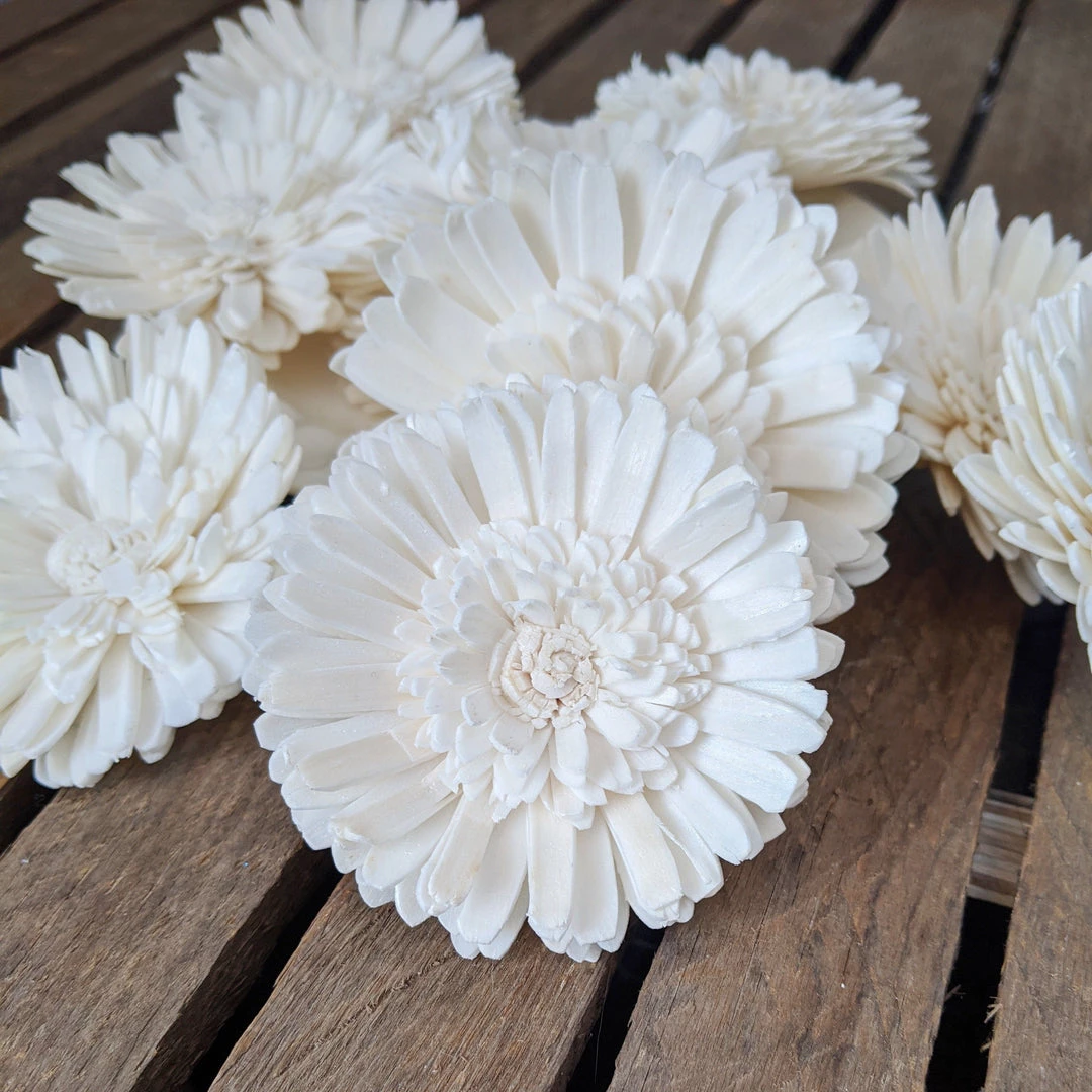 Oh! You're Lovely Sola Wood Flower Sets Wild Double Daisy™ - Set Of 12- 2.5 Inches